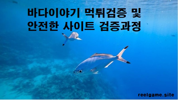 바다이야기-먹튀검증-릴게임사이트