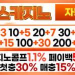 체스카지노