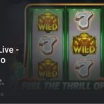 카지노 릴게임 MGM Slots Live