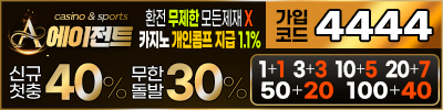 토토사이트 에이전트 릴게임사이트